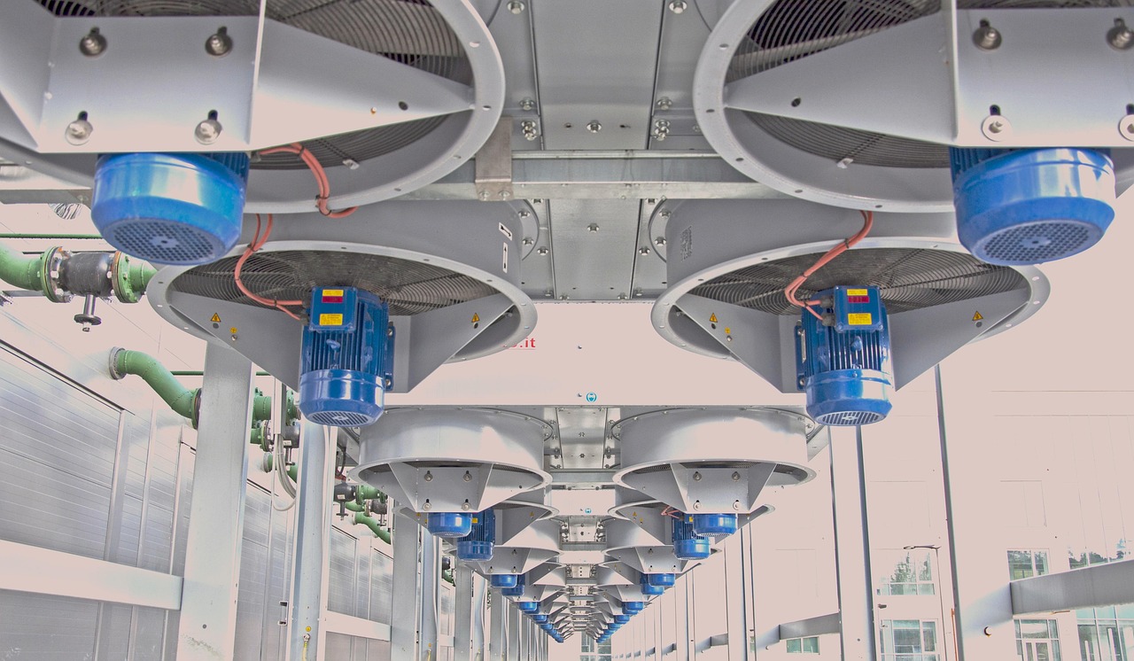 缅甸云斯顿蓝莓爆珠:悟空识字app详情下载教程