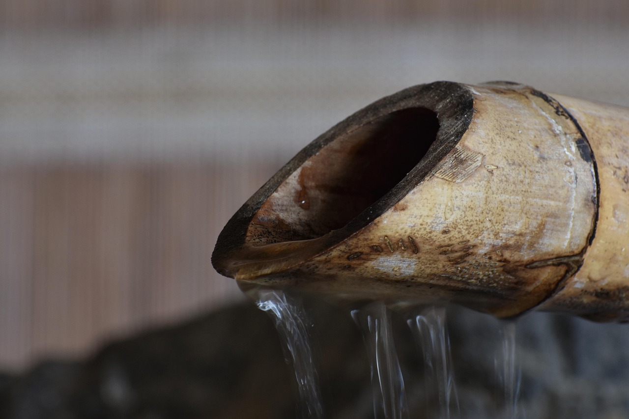 境界-死神激斗：注册俄罗斯公司代理