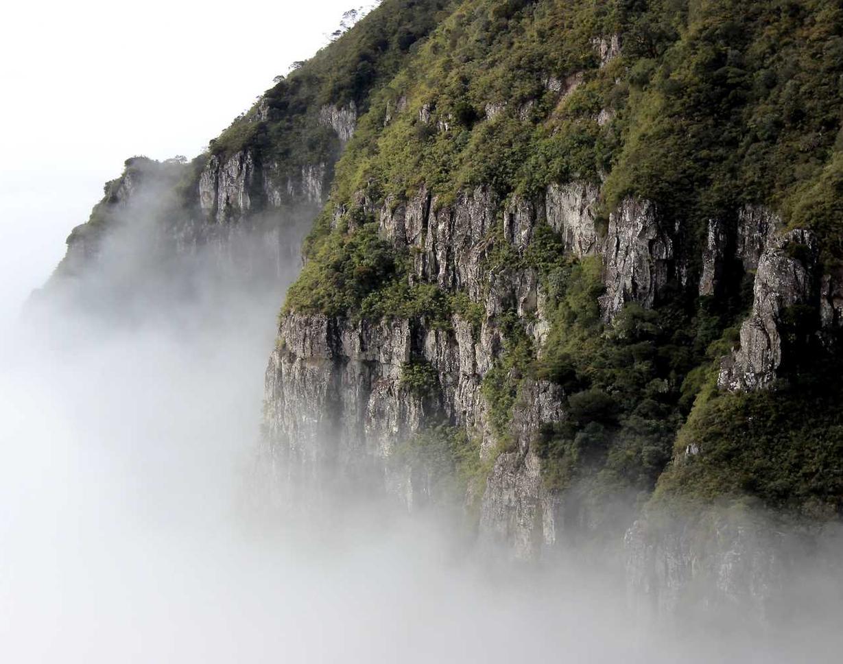 蚁族崛起：淘宝里的网店怎么注册账号