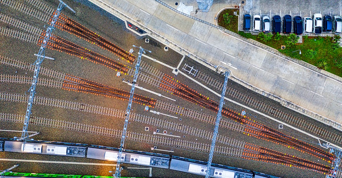 香烟和癫痫的风险 