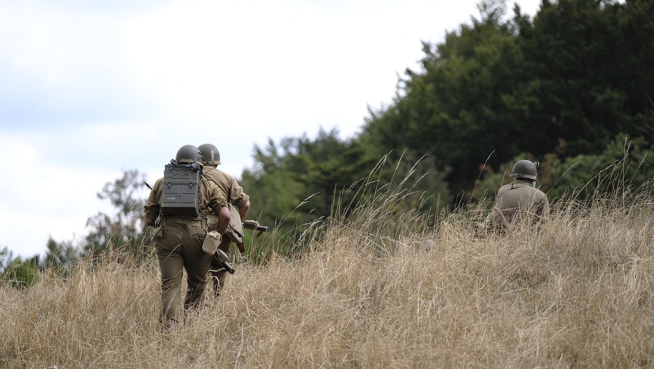 DDOS在线攻击平台|购买中草药平台