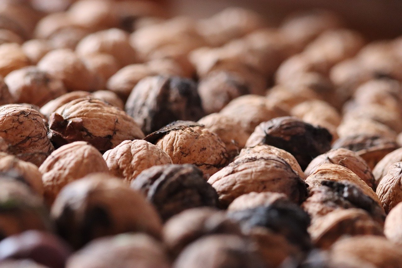 欧宝团队竞技萧山工商注册代理多少钱